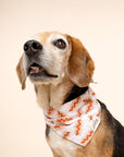Sizzle Hotdog Bandana
