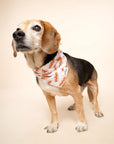 Sizzle Hotdog Bandana