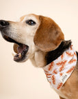 Sizzle Hotdog Bandana