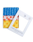 3 Pack of Summer Dog Bandanas