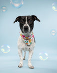Dog wearing a colorful bandana with soap bubbles in the background
