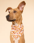 Dog wearing a bandana with a fall leaf pattern on a beige background
