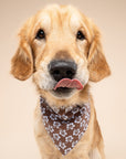 Bali Hibiscus Dog Bandana