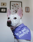 Dog wearing Barkday Purple bandana