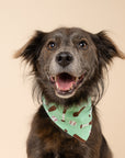 Batter Up Dog Bandana