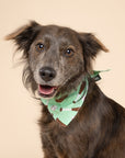 Batter Up Dog Bandana
