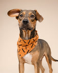 Batty Dog Bandana