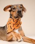 Batty Dog Bandana