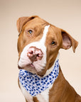 Berry Dog Bandana
