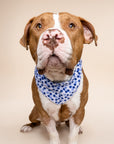 Berry Dog Bandana