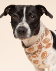 Blitz Football Dog Bandana