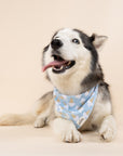 Blue Bell Ice cream Dog Bandana from The Paws