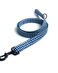 Blue Gingham Walk Kit