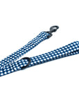 Blue Gingham Walk Kit