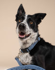 Blue Gingham Leash