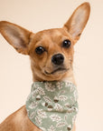 Boone Dog Bandana from The Paws