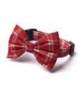 Bow Tie - Cider