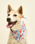 Buoy Dog Bandana