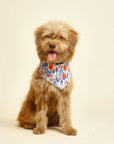 Buoy Dog Bandana