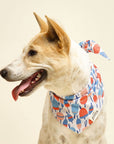 Buoy Dog Bandana