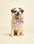 Buoy Dog Bandana