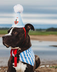 Cabana Blue Stripes Bandana - The Paws