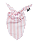 Cabana Blush Pink Stripes Dog Bandana