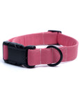 Candy Pink Collar