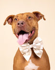 Sailor Bow Tie - Checkers