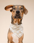 Checkers Dog Bandana
