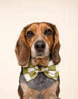 Bow Tie - Checkmate