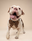 Sailor Bow - Chocolate Dot