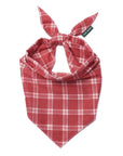 Cider Dog Bandana