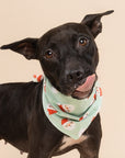 Claus Dog Bandana