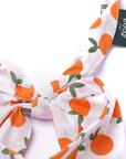 Clementine Dog Bandana