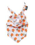 Clementine Dog Bandana