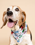 Coloring Dog Bandana