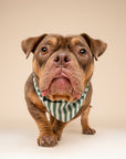 Crew Stripe Dog Bandana from The Paws