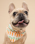 Crunch Dog Bandana