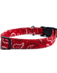 Dallas Collar