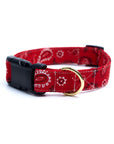 Dallas Collar