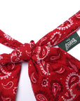 Dallas Dog Bandana