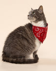 Dallas Dog Bandana
