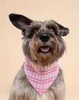 Daphne Dog Bandana
