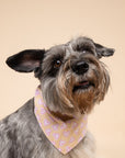 Darling Dog Bandana