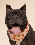 Drumstick Dog Bandana from The Paws - Happy dog
