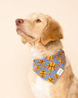 Dunk (Basketball) Dog Bandana