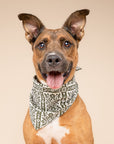 Fernwood Dog Bandana