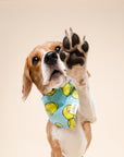 Fetch Dog Bandana