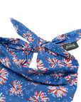 Firecracker Dog Bandana